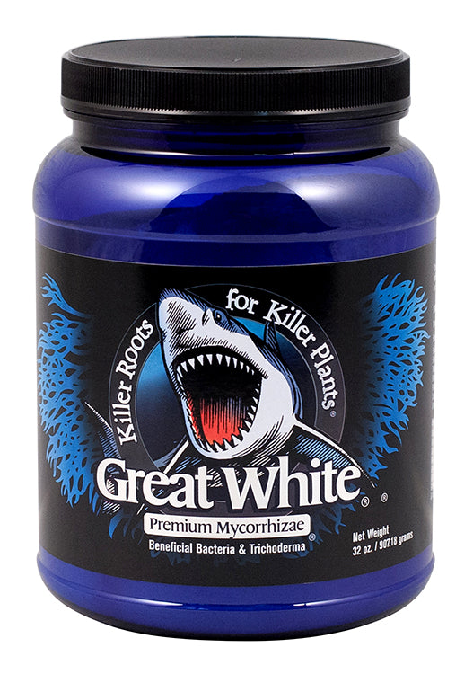 Great White Mycorrhizae