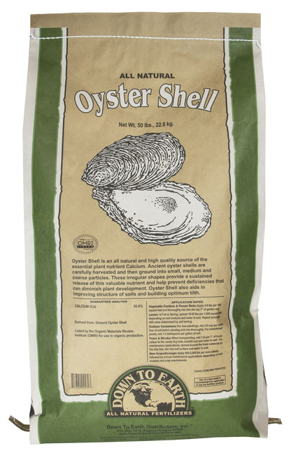 Down To Earth Oyster Shell