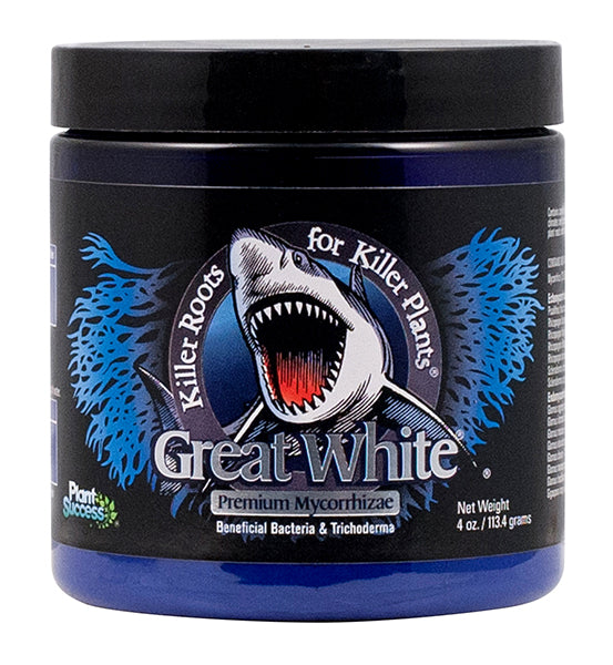 Great White Mycorrhizae