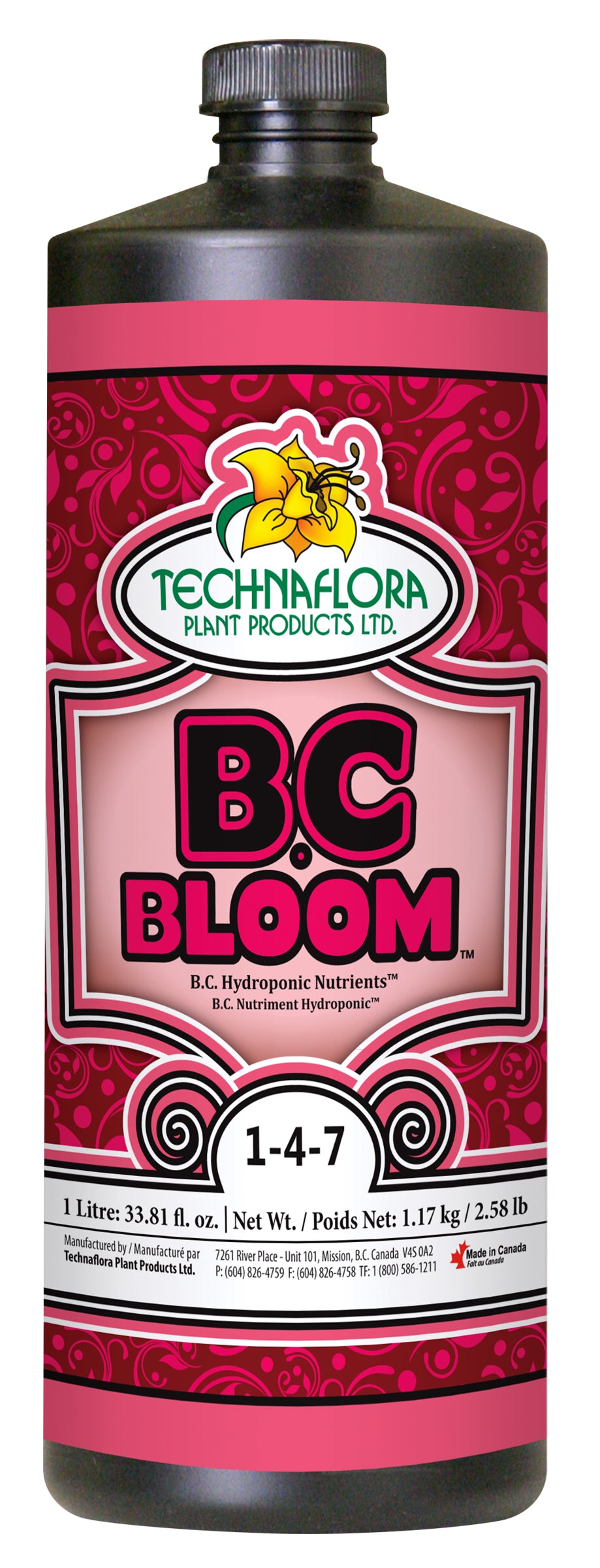 B.C. Bloom