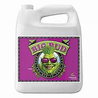 Advanced Nutrients Big Bud Organic