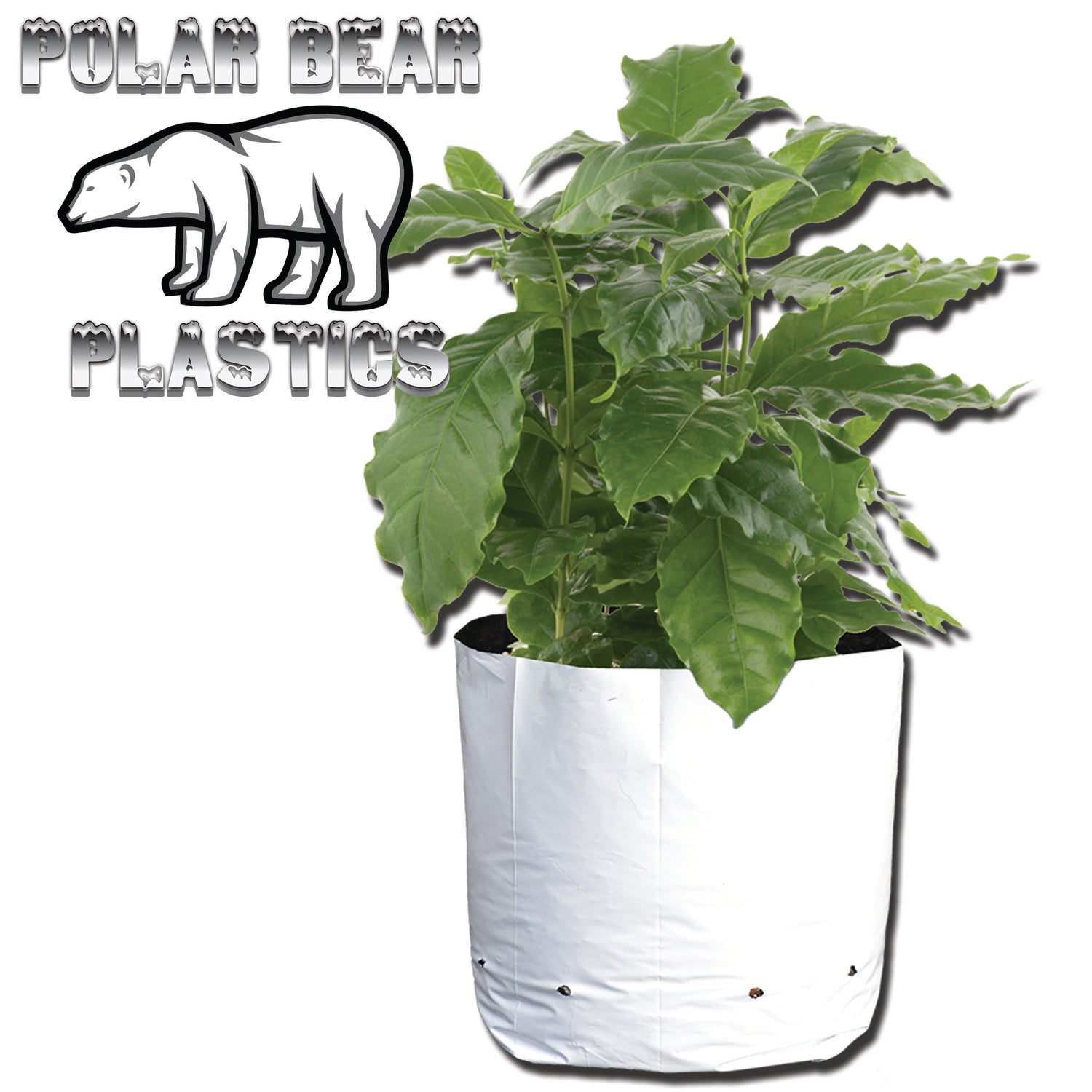 Polar Bear Grow Bags