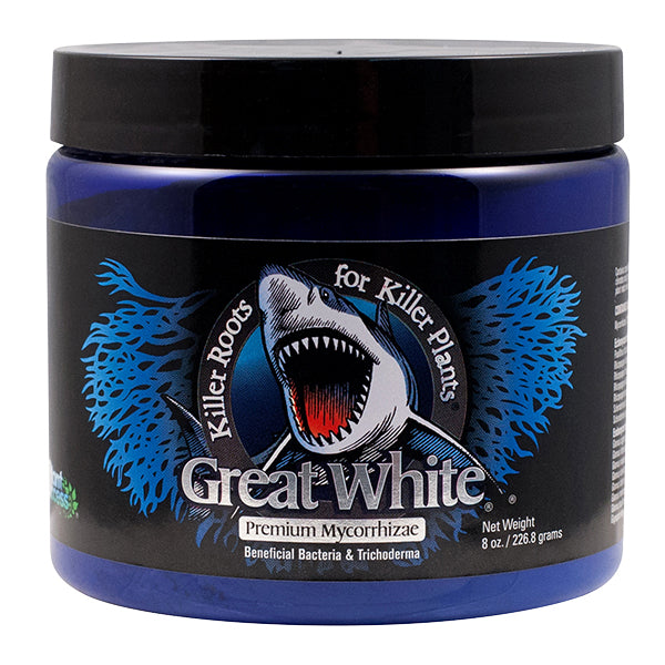 Great White Mycorrhizae