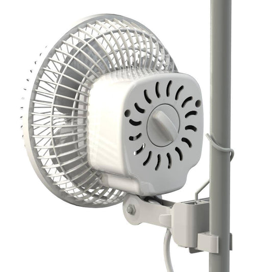 Monkey Fan